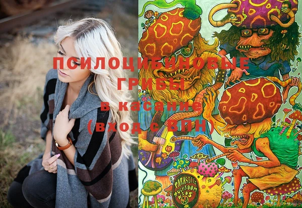 соль курить ск Протвино