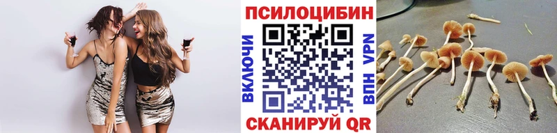 Купить где  Тимашёвск  Псилоцибиновые грибы прущие грибы 