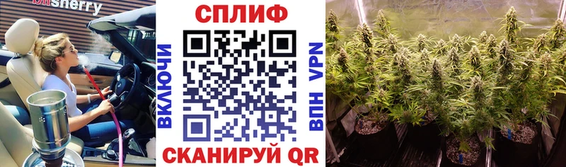Купить закладки  Тимашёвск  Бошки Шишки план 